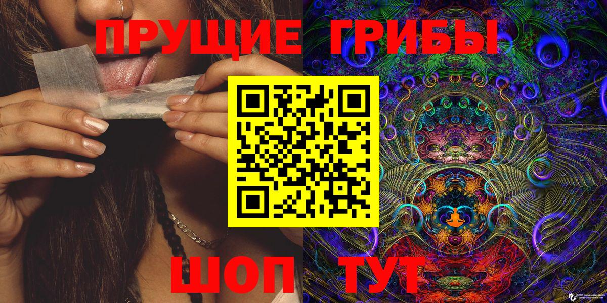 Галлюциногенные грибы Cubensis Карталы